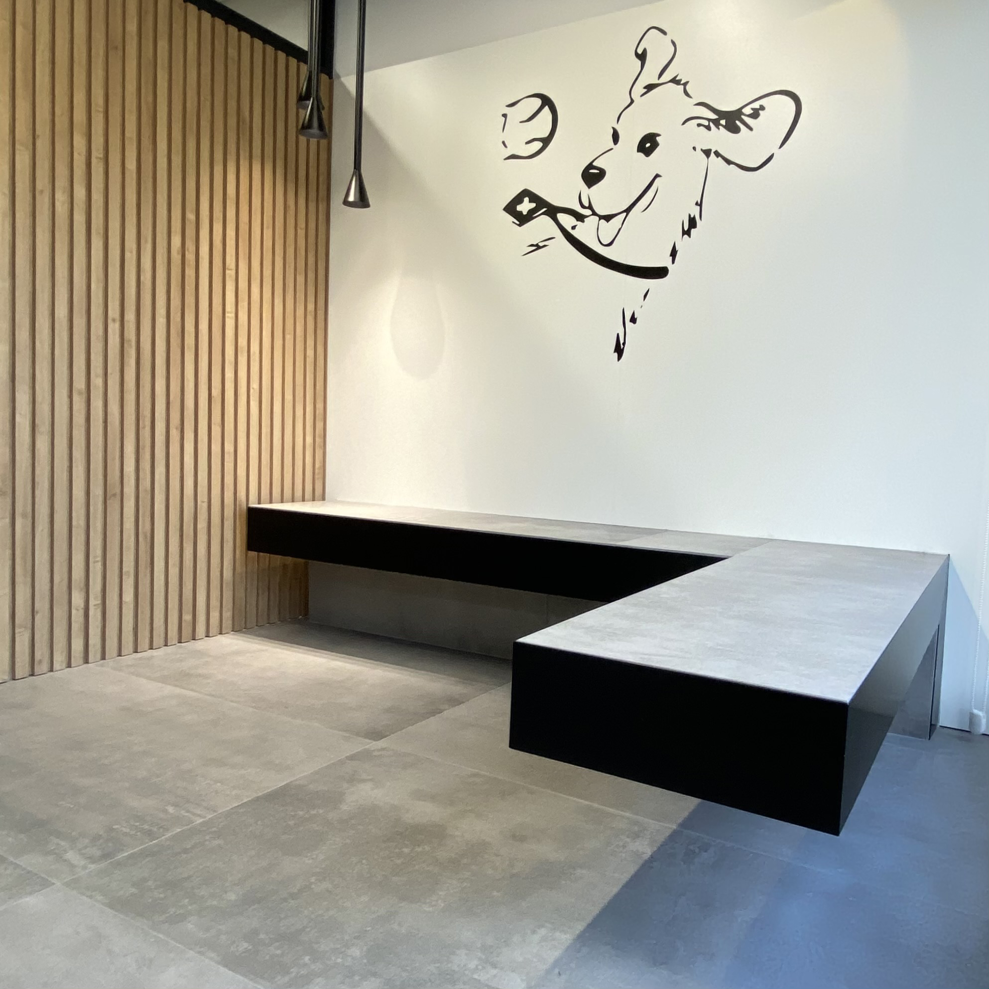 Projecte CENTRE VETERINARI EL CADELL